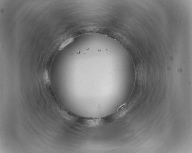 X0000072960089200608111701