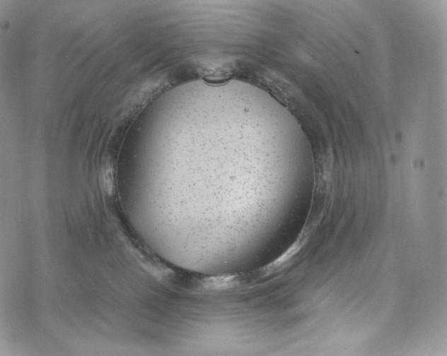 X0000072960090200608111702