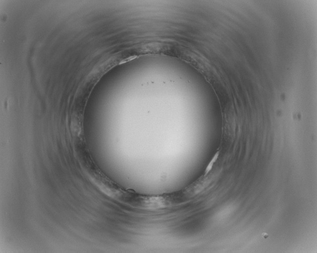 X0000072960091200608111702