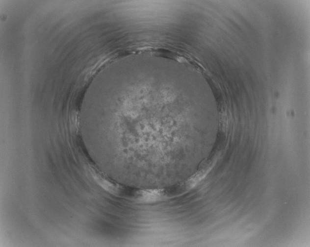 X0000072960093200608111702