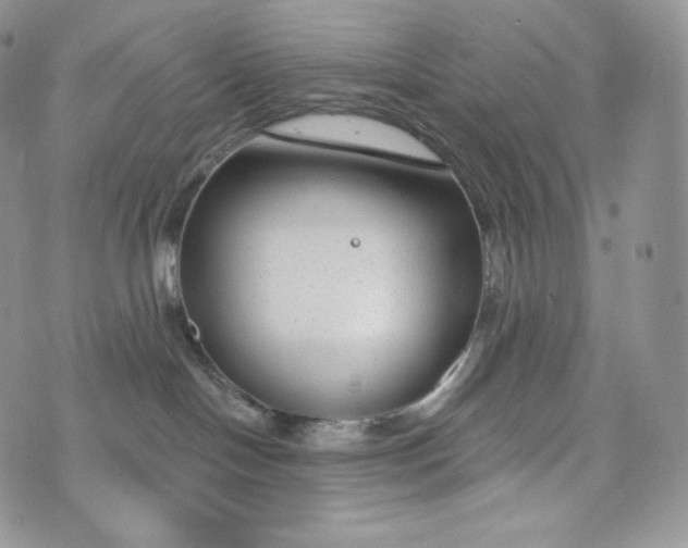 X0000072960094200608111702