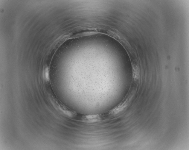 X0000072960095200608111702