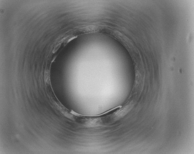 X0000072960096200608111702