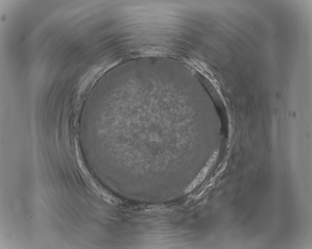 X0000072960097200608111701