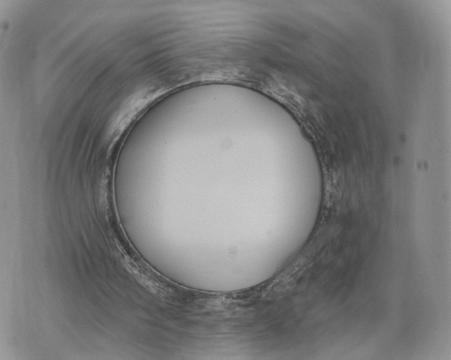 X0000072960098200608111701