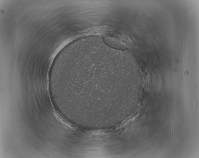 X0000072960100200608111701