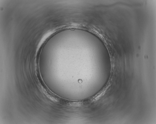 X0000072960102200608111701