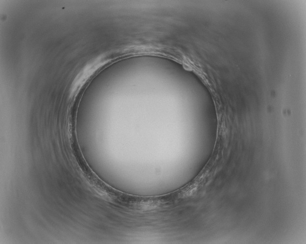 X0000072960103200608111701