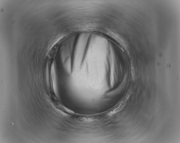 X0000072960105200608111701