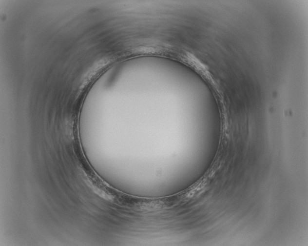 X0000072960106200608111701