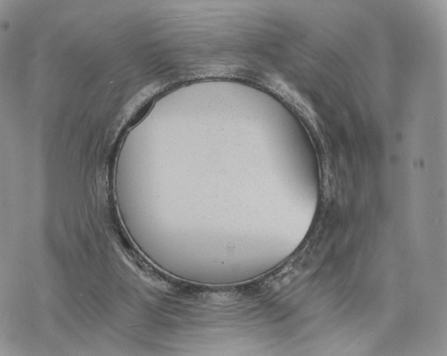 X0000072960107200608111701