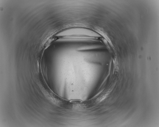 X0000072960109200608111701