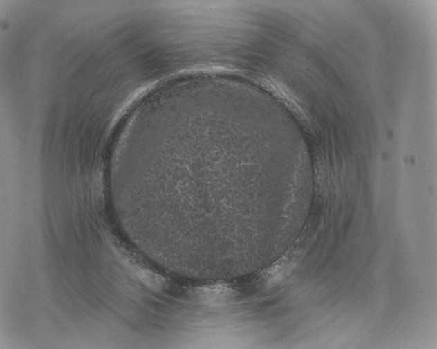 X0000072960112200608111701