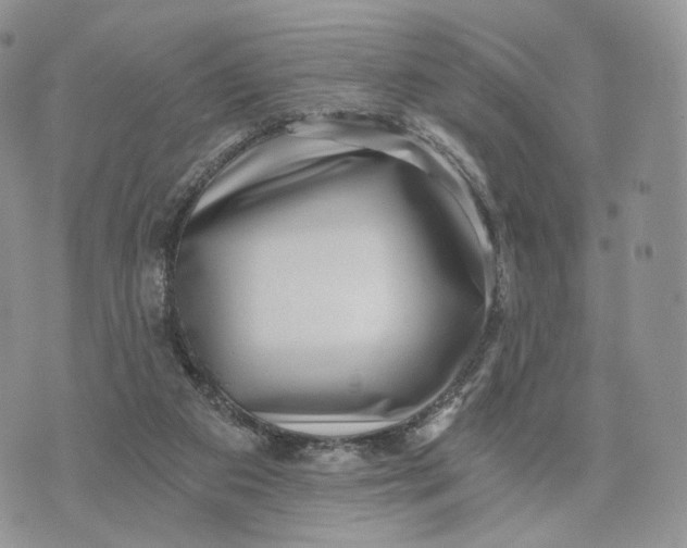 X0000072960113200608111701