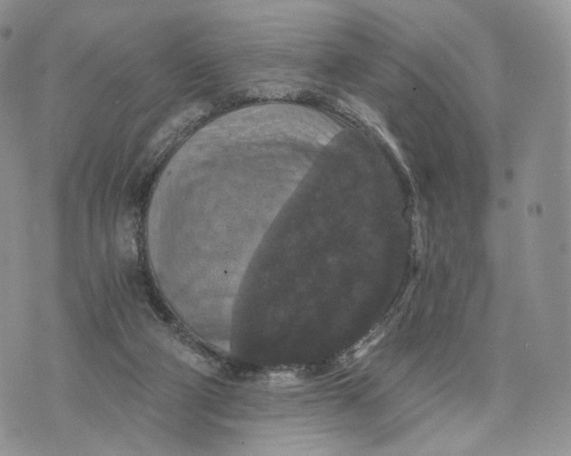 X0000072960114200608111701