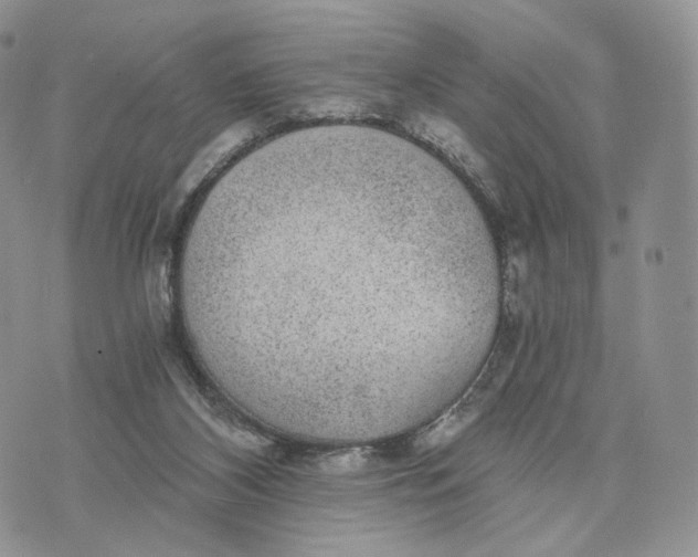 X0000072960116200608111701