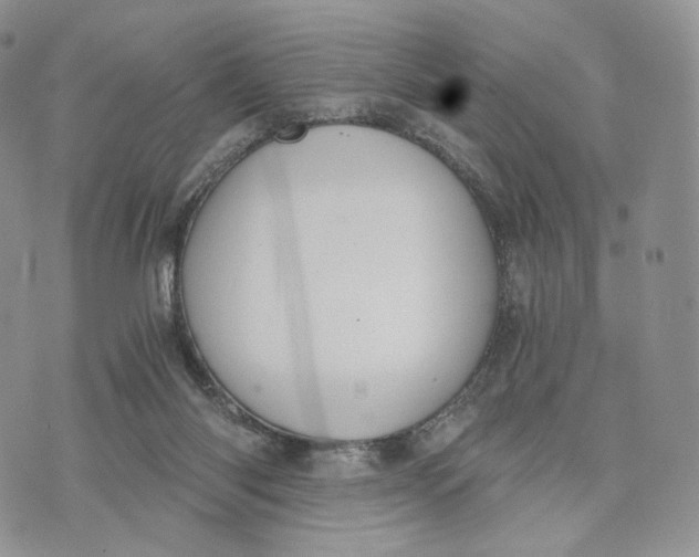 X0000072960118200608111700