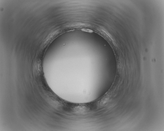 X0000072960119200608111700