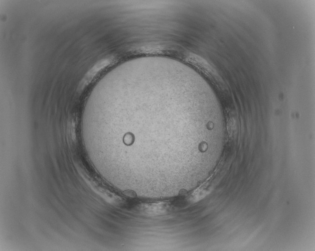 X0000072960120200608111700