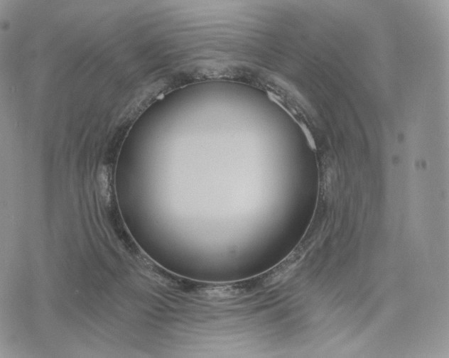 X0000072960121200608111700