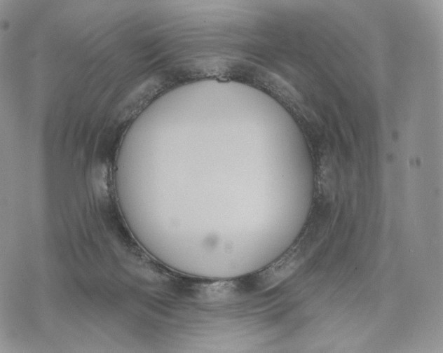 X0000072960122200608111700