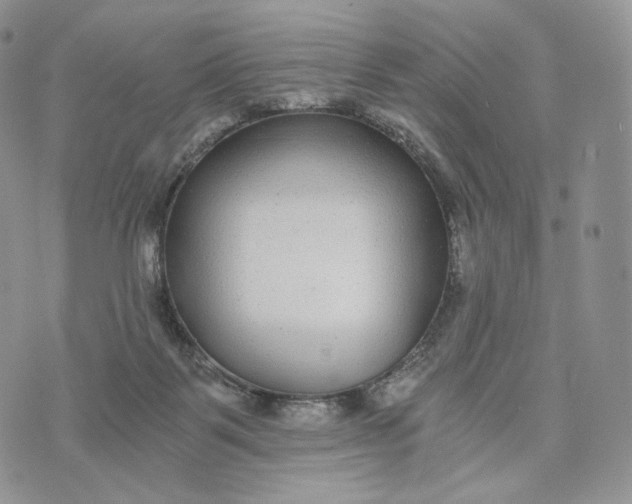 X0000072960123200608111700