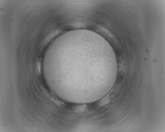 X0000072960124200608111700