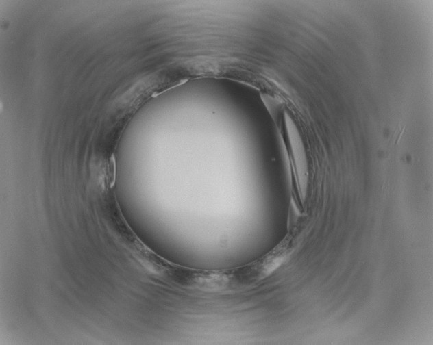 X0000072960125200608111700