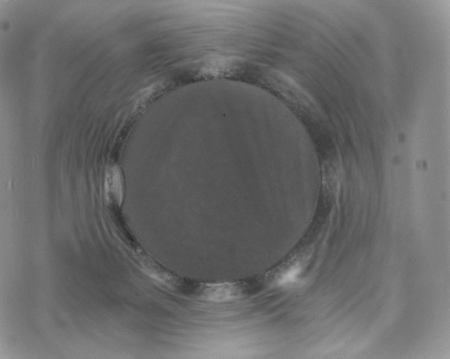 X0000072960127200608111700