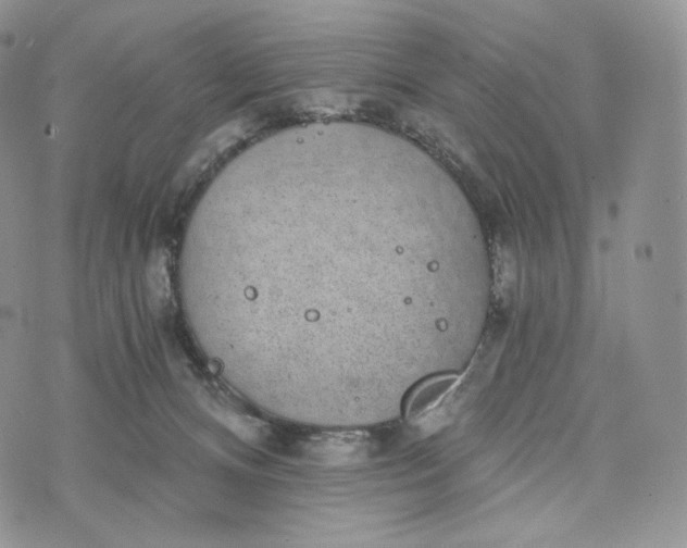 X0000072960128200608111700