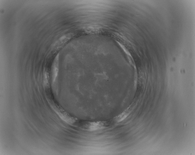 X0000072960130200608111700