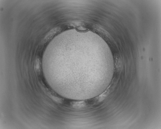 X0000072960132200608111700