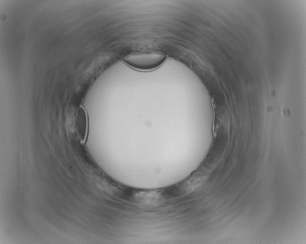 X0000072960133200608111700