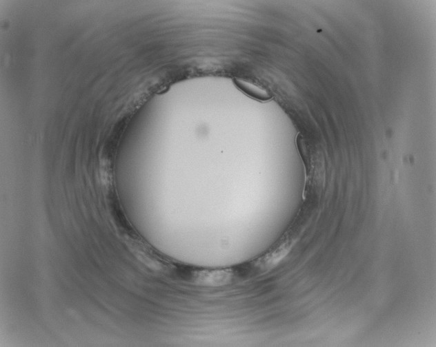 X0000072960135200608111700