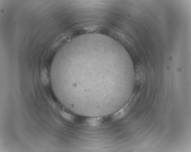 X0000072960136200608111700