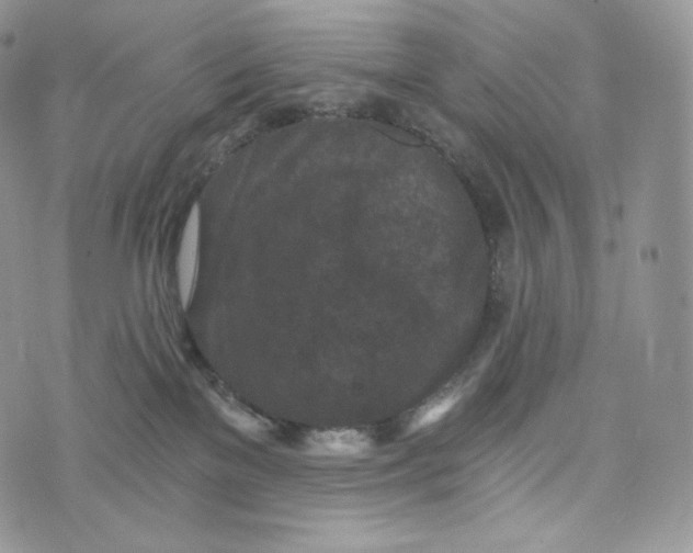 X0000072960137200608111700