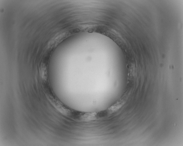 X0000072960138200608111700