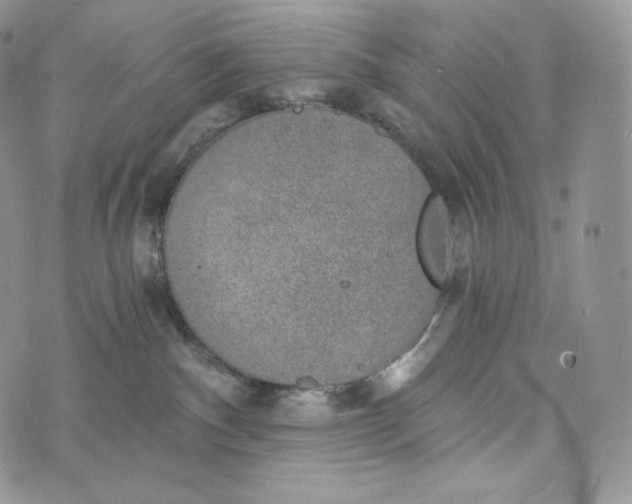 X0000072960140200608111700