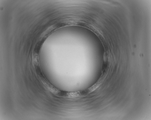 X0000072960141200608111700