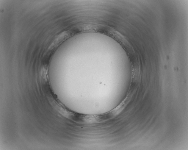 X0000072960142200608111700