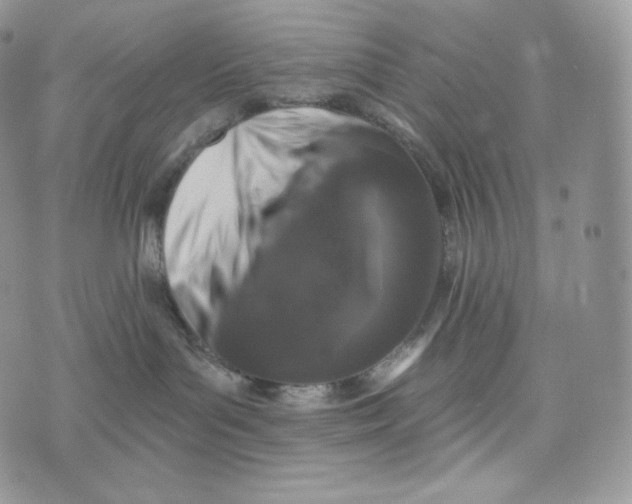 X0000072960143200608111700