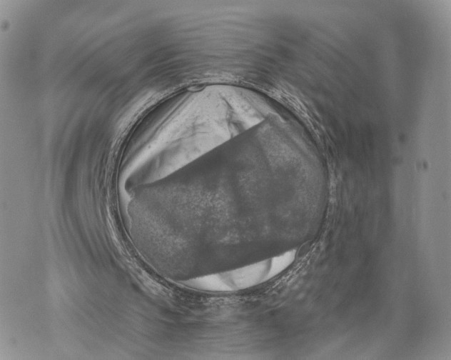 X0000072960145200608111659