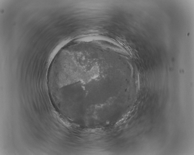 X0000072960147200608111659