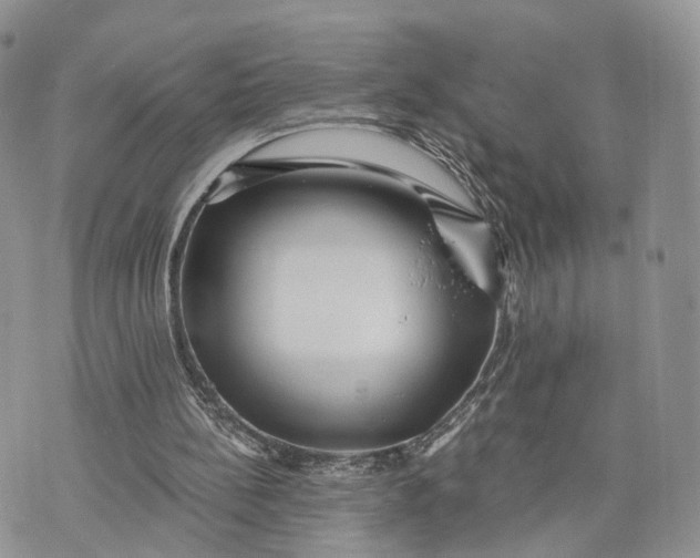 X0000072960148200608111659