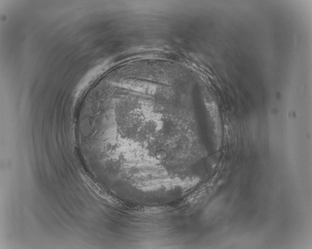 X0000072960149200608111659