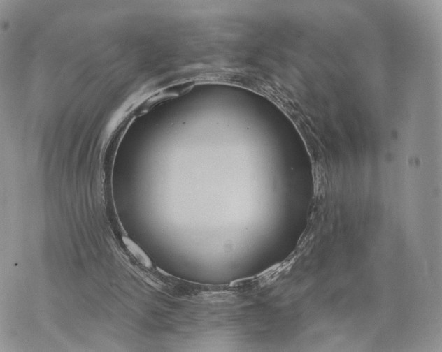 X0000072960150200608111659