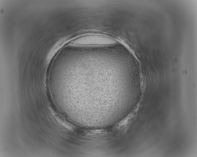 X0000072960151200608111659