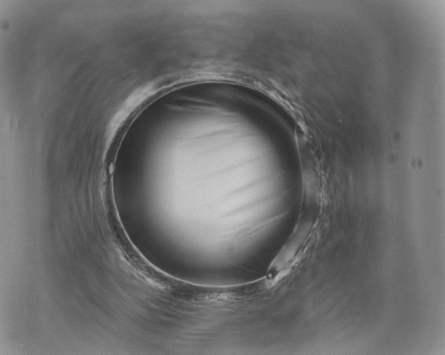 X0000072960152200608111659