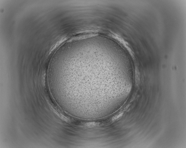 X0000072960153200608111659