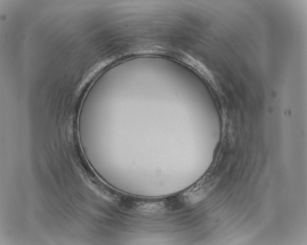 X0000072960155200608111659